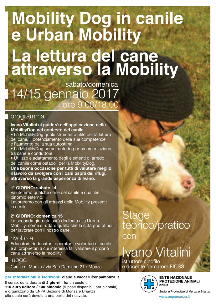locandina-seminario_2017_1-vitalini-690