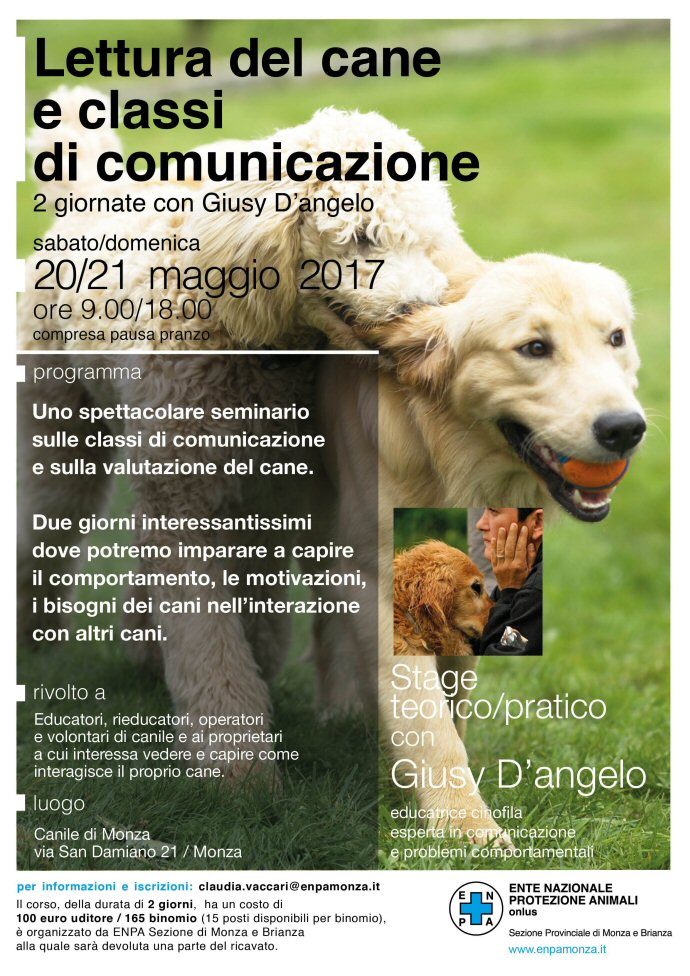 2017_3 Giusy D'Angelo-homepage 690