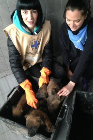 cuccioli con volontari Stefania e Marika-NS_0832