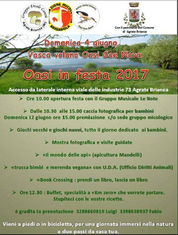 locandina festa oasi 2017-690 home page