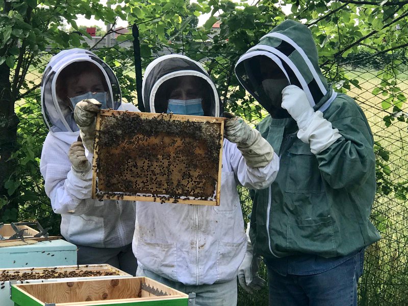 Oasi di biodiversità ENPA: arrivano le api! | Enpa Monza e Brianza