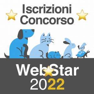 Web Star 2021